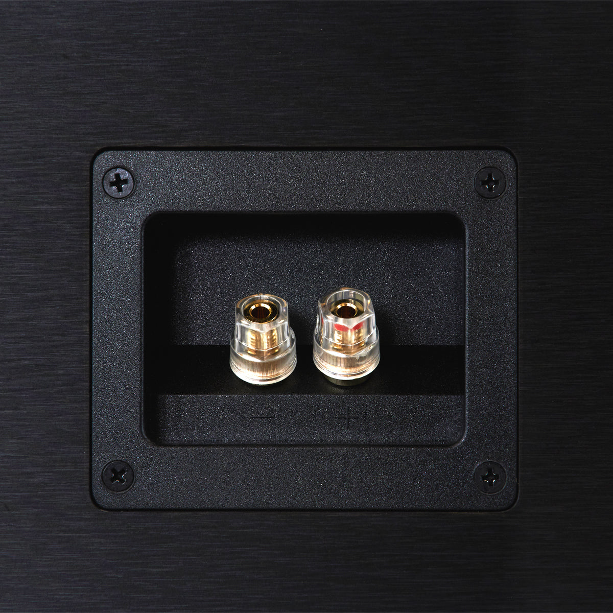 Emotion Center Speaker