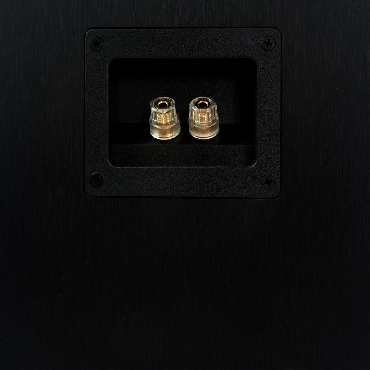 Emotion 2 Way Floorstanding Speaker
