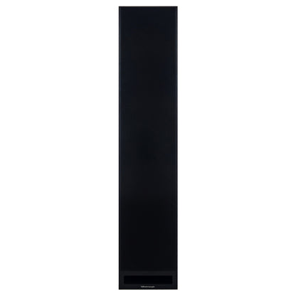 Emotion 2 Way Floorstanding Speaker